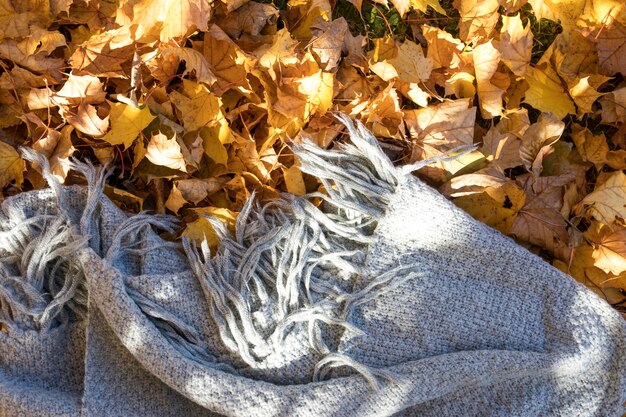 Top view grey blanket on leaves