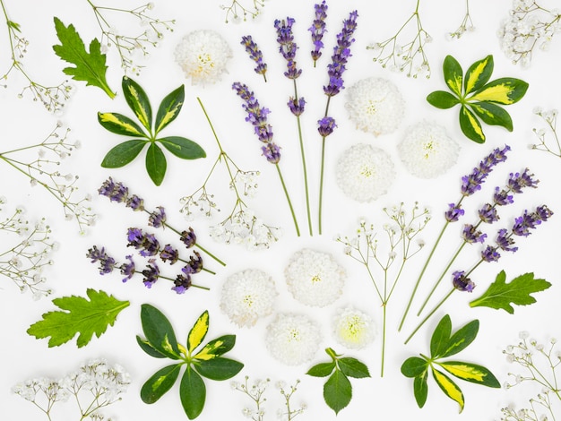 Top view group of leaves and flowers