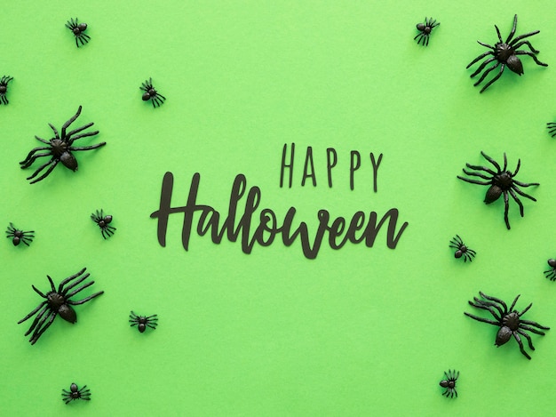 Free Photo top view halloween concept with spiders