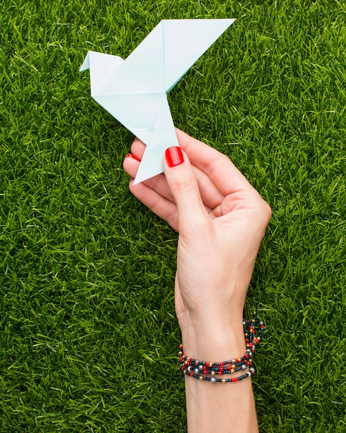 Free photo top view of hand holding paper dove on grass