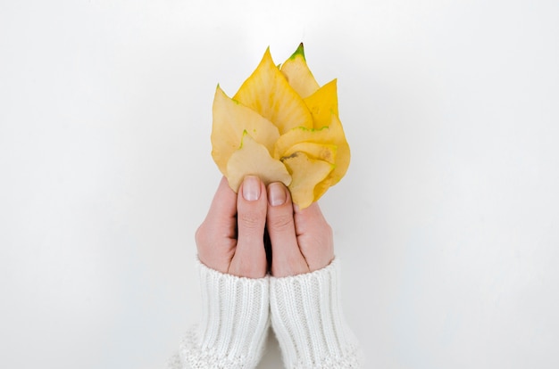 Free photo top view hands holding autumn leaves