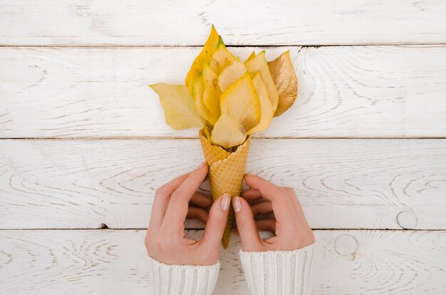 Top view hands holding autumn leaves