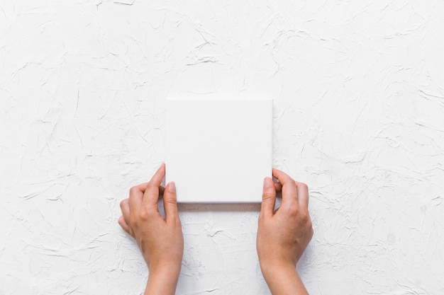 Top view hands holding canvas