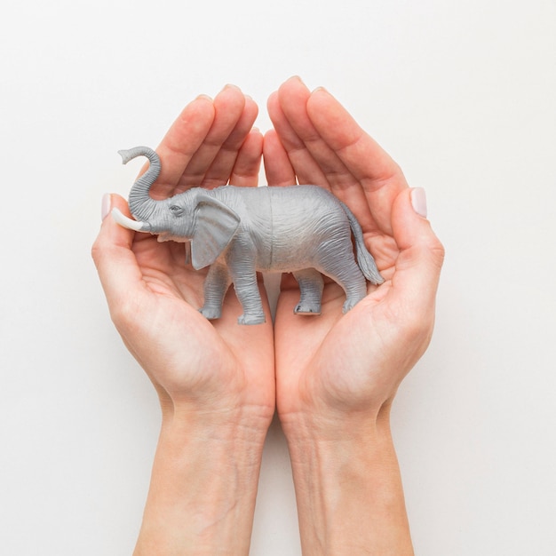 Free photo top view of hands holding elephant figurine for animal day