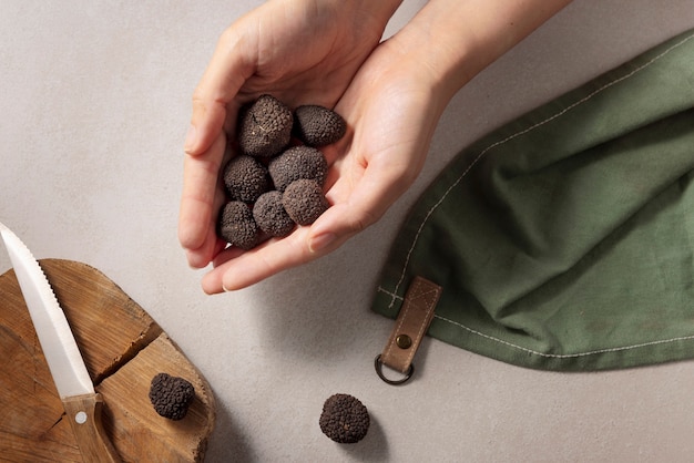 Free photo top view hands holding truffles