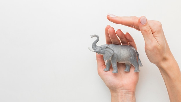 Top view of hands protecting elephant figurine for animal day