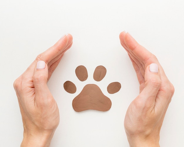 Top view of hands protecting paw print for animal day