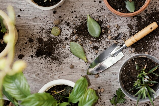 Top view of indoor plant pots with trowel