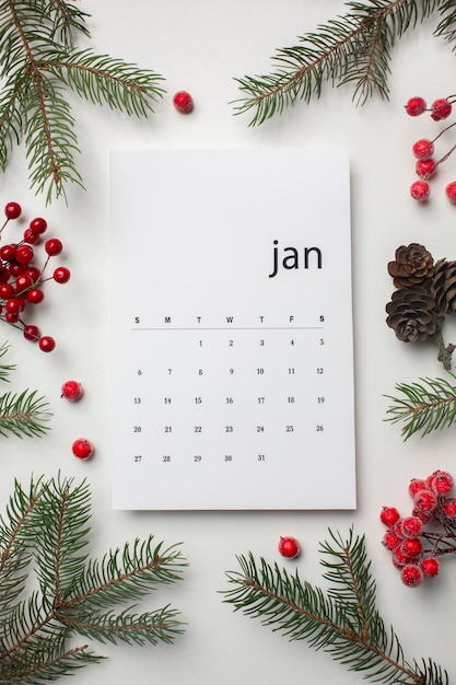 Free Photo top view january calendar and branches