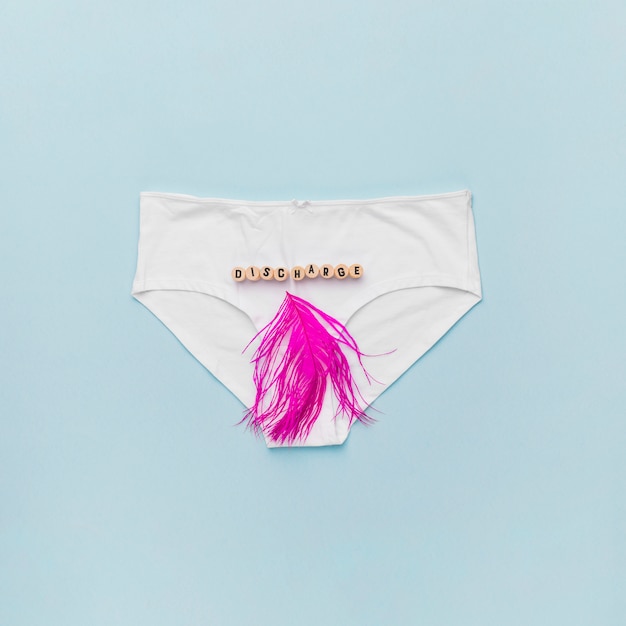 Free photo top view knickers with feather and word