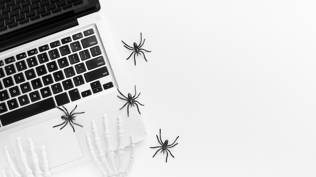 Free Photo top view laptop and creepy spiders with copy space