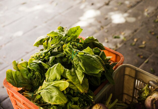 Top view of leafy vegetable in crate at supermarket