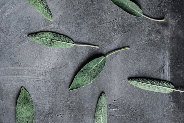 Top view leaves on counter