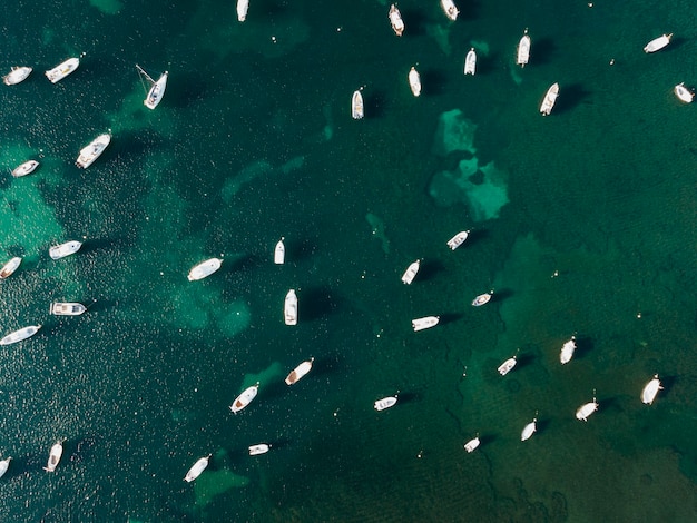 Free Photo top view on many boats traveling