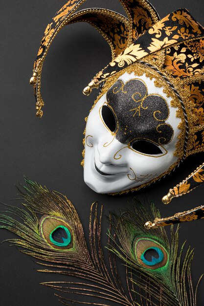 Top view of mask for carnival with feathers