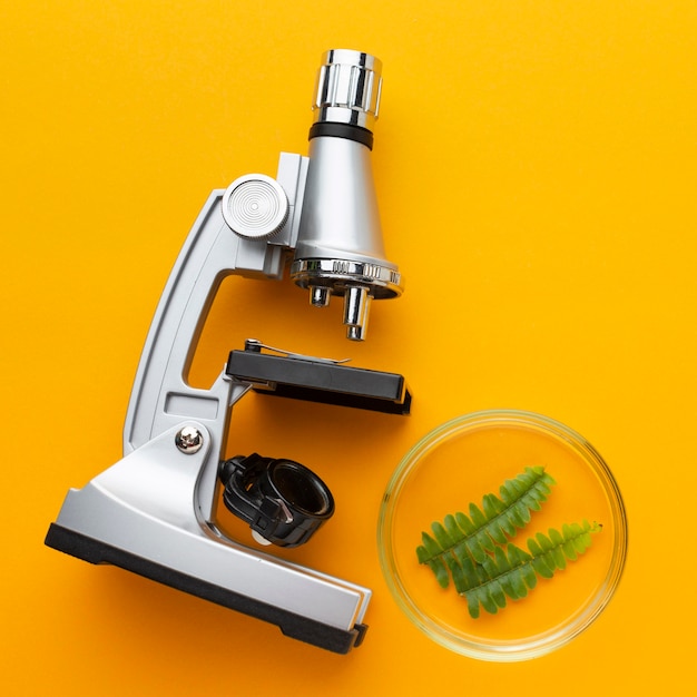 Free photo top view microscope and plant