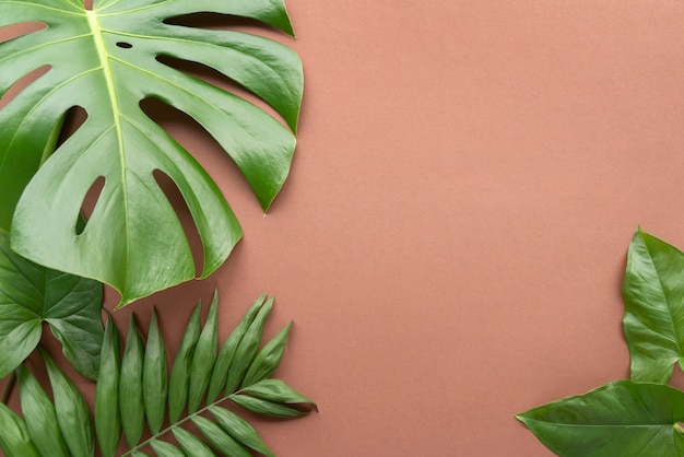 Free photo top view minimal tropical leaves composition