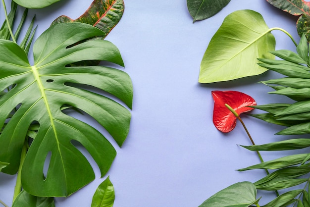 Free photo top view minimal tropical leaves composition