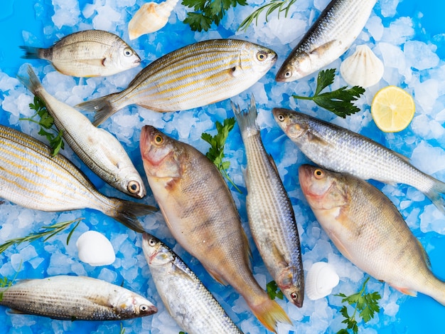 Top view mix of fresh fishes on ice 