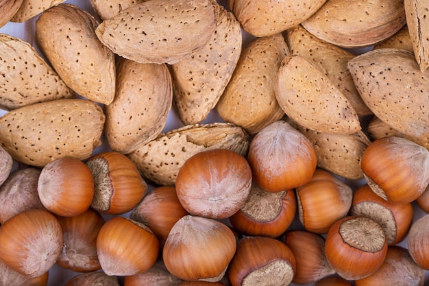 Top view of mixed nuts in shell hazelnuts and almond on white background