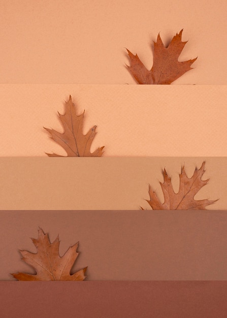 Top view of monochromatic pattern and leaves