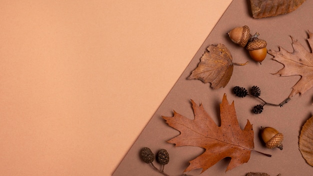 Top view of monochromatic selection of leaves