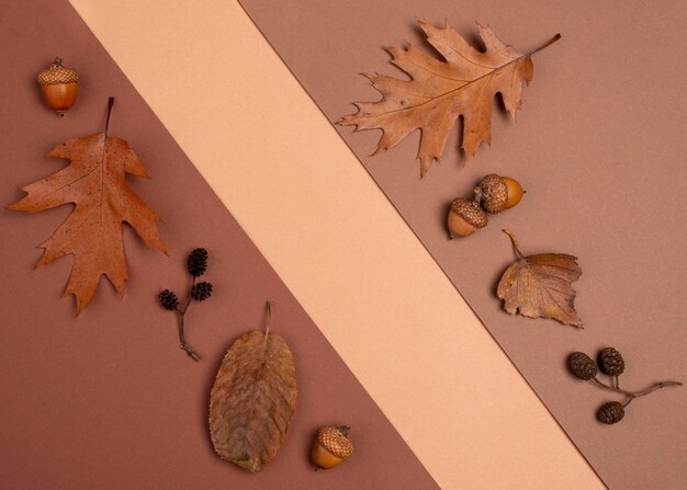 Top view of monochromatic variety of leaves