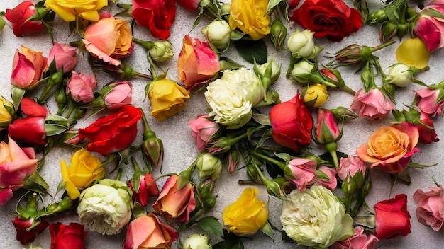 Top view of multicolored flowers