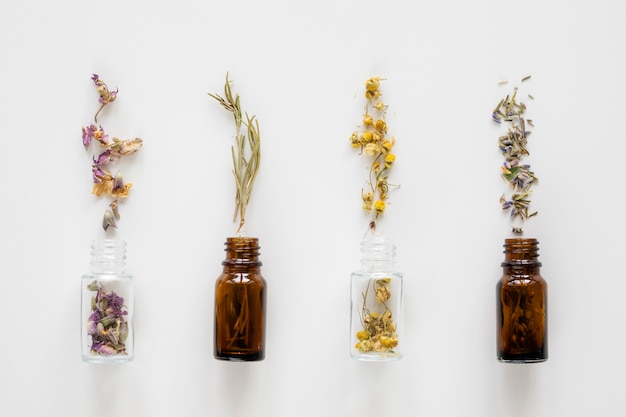 Free Photo top view of natural medicinal herbs in bottles