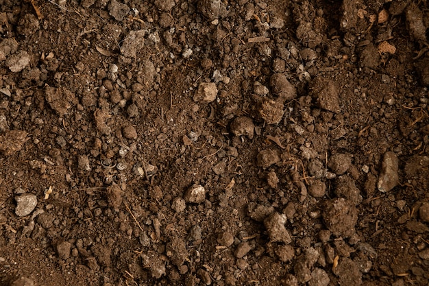 Free photo top view natural soil