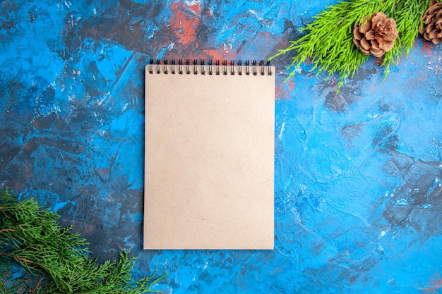 Top view a notebook pine tree branch and cones on blue-red background