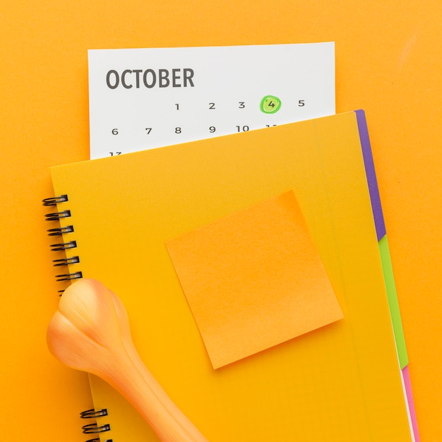 Top view of notebook with bone and calendar for animal day