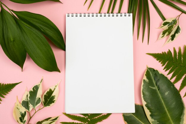 Top view of notebook with selection of plant leaves