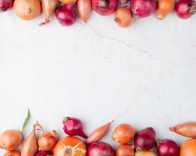 Top view of onions on white background with copy space