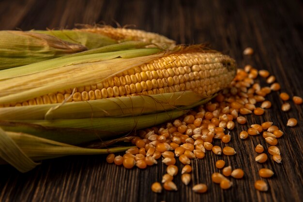 Top view of organic fresh corns with hair with kernels isolated on a wooden table