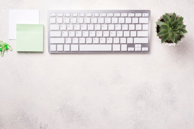 Top view of organized desk with keyboard and succulent plant