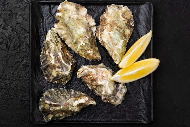 Top view of oysters with lemon slices