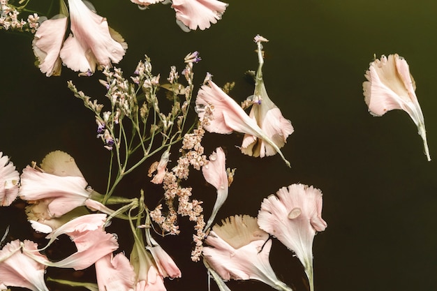 Free photo top view pale pink flowers in black water