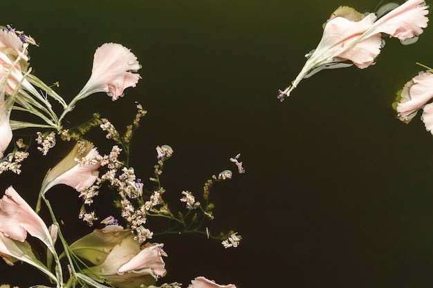 Free Photo top view pale pink flowers in water with copy space