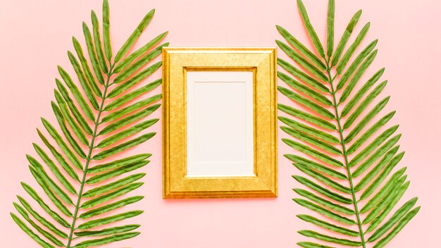 Top view of palm leaves and blue frame