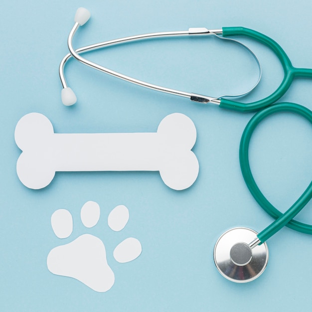 Free Photo top view of paper bone and paw print with stethoscope for animal day