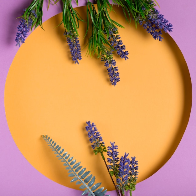 Free photo top view paper circle with lavender beside