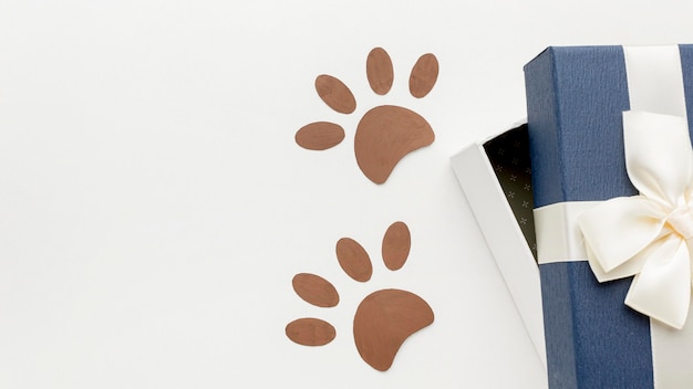 Top view of paw prints with gift for animal day