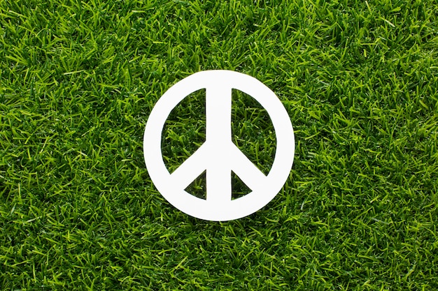 Top view of peace sign on grass