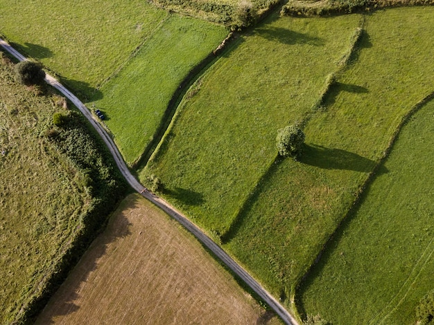 Top view peaceful green land