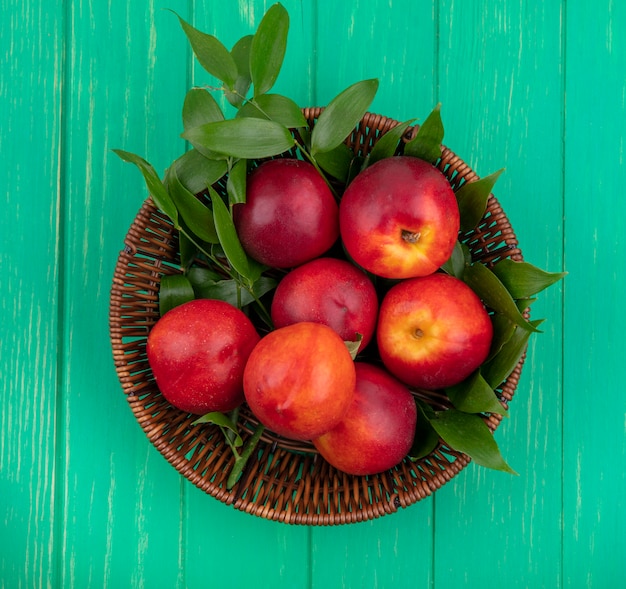 Free photo top view of peaches with a branch of leaves in a basket on a green surface