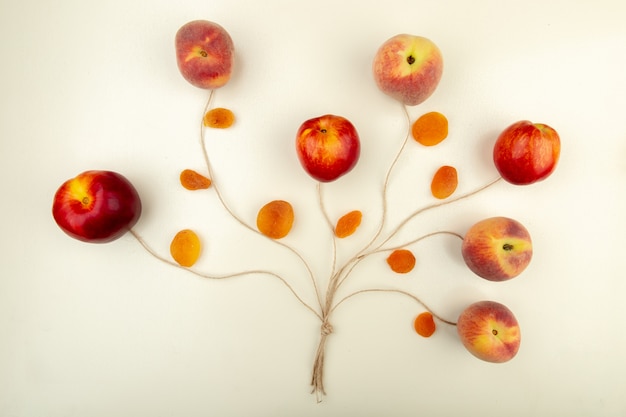 Free photo top view of peaches and yellow raisins with twine on white surface tree concept