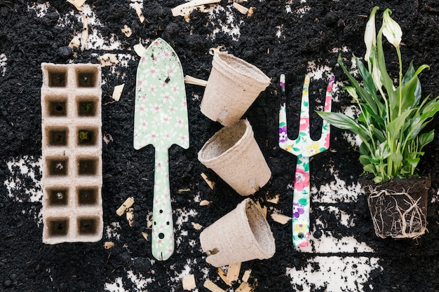 Free Photo top view of peat pot; peat tray; gardening shovel; pitch fork and plant on black soil