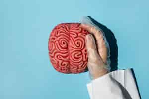 Free photo top view person holding a brain