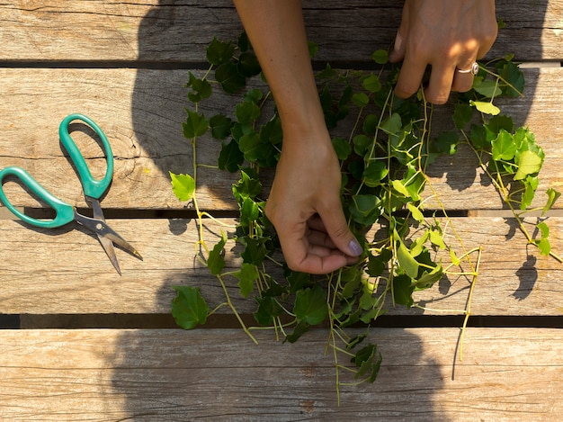 Free photo top view person taking care of plants